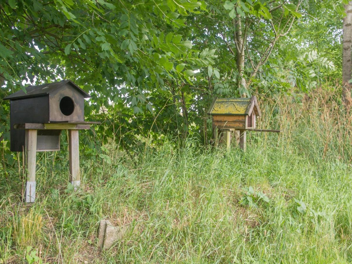 Landurlaub Regenholz * Kronsgaard